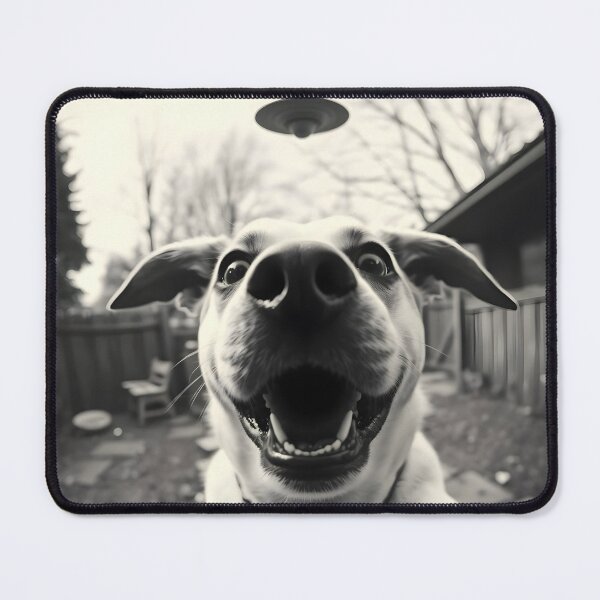 Item preview, Good Boy, Bad UFO: Dog’s Black & White ‘Sighting’ Photo – Sci-Fi Doggo Art designed and sold by WAUZ.