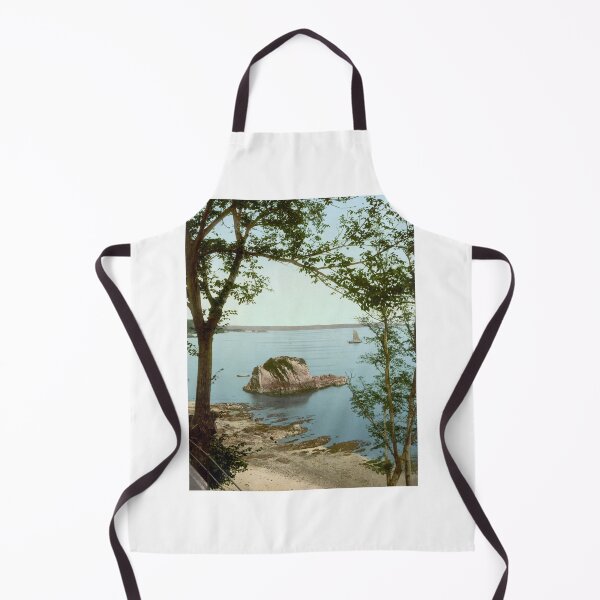 Item preview, View from Tenby designed and sold by 19th Century in Color.