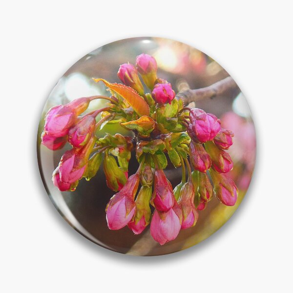 Item preview, Late Bloomer designed and sold by Elinda96.
