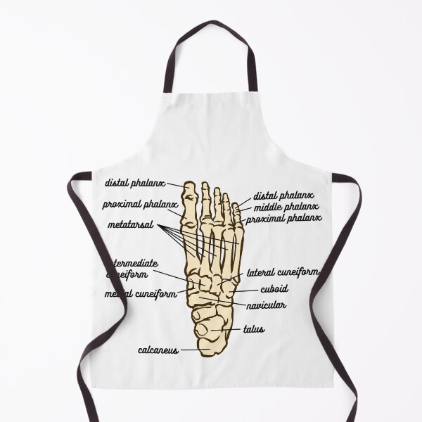 Item preview, Foot Anatomy- Bone designed and sold by iX-Physio.