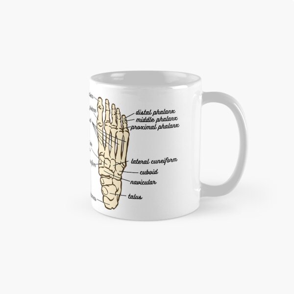 Item preview, Foot Anatomy- Bone designed and sold by iX-Physio.