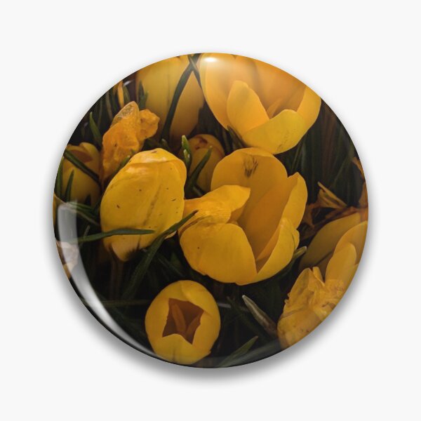 Item preview, Yellow crocuses  photography designed and sold by Coolparrotgirl.