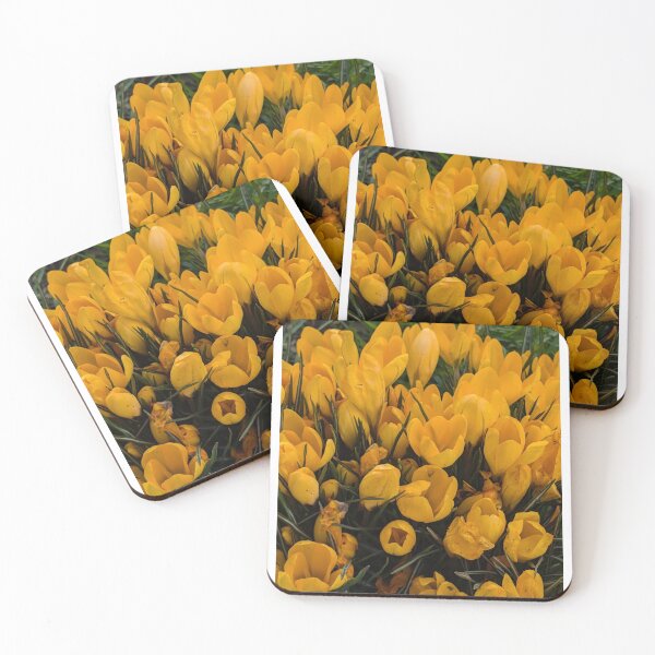 Item preview, Yellow crocuses  photography designed and sold by Coolparrotgirl.