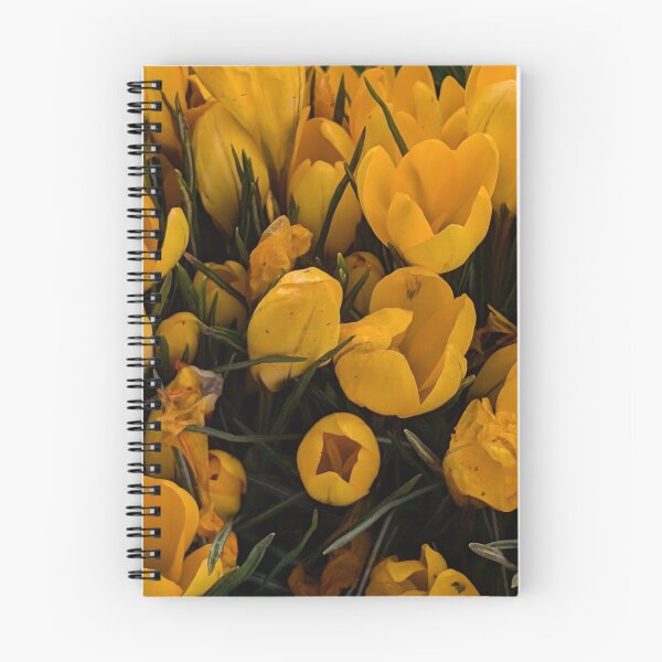 Item preview, Yellow crocuses  photography designed and sold by Coolparrotgirl.