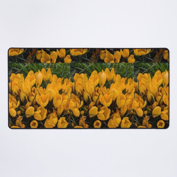 Item preview, Yellow crocuses  photography designed and sold by Coolparrotgirl.