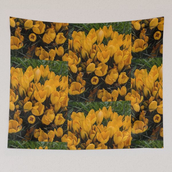 Item preview, Yellow crocuses  photography designed and sold by Coolparrotgirl.