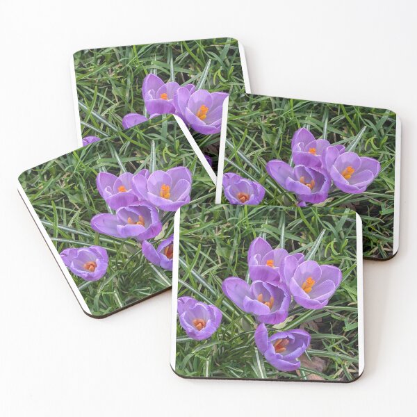 Item preview, Purple crocuses  photography designed and sold by Coolparrotgirl.