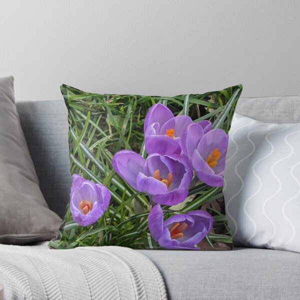 Item preview, Purple crocuses  photography designed and sold by Coolparrotgirl.