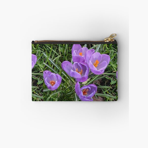Item preview, Purple crocuses  photography designed and sold by Coolparrotgirl.