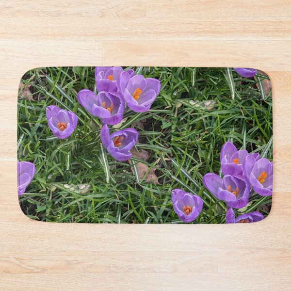 Item preview, Purple crocuses  photography designed and sold by Coolparrotgirl.