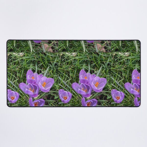 Item preview, Purple crocuses  photography designed and sold by Coolparrotgirl.