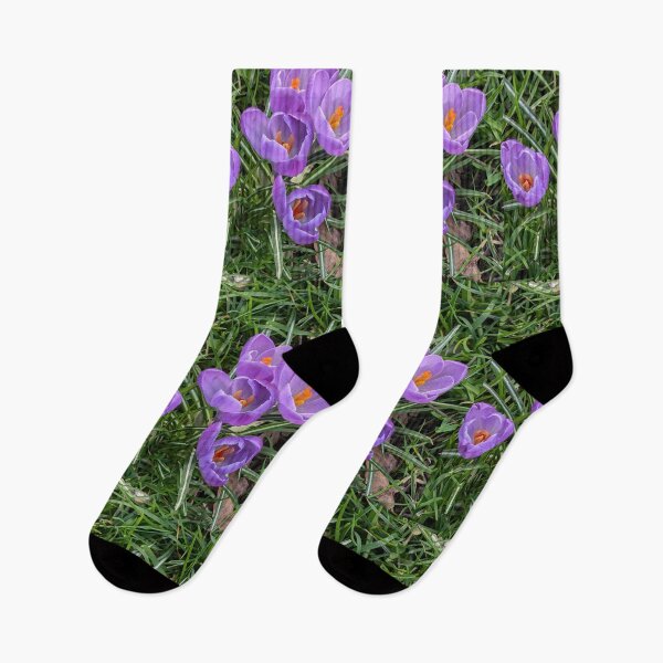 Item preview, Purple crocuses  photography designed and sold by Coolparrotgirl.