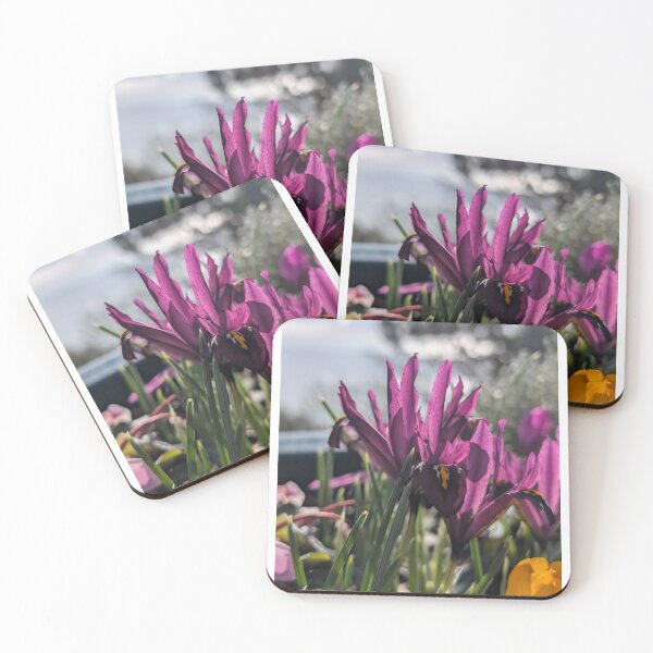 Item preview, Pink field flower wildflowers  photography designed and sold by Coolparrotgirl.