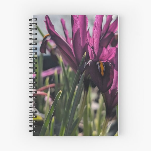 Item preview, Pink field flower wildflowers  photography designed and sold by Coolparrotgirl.