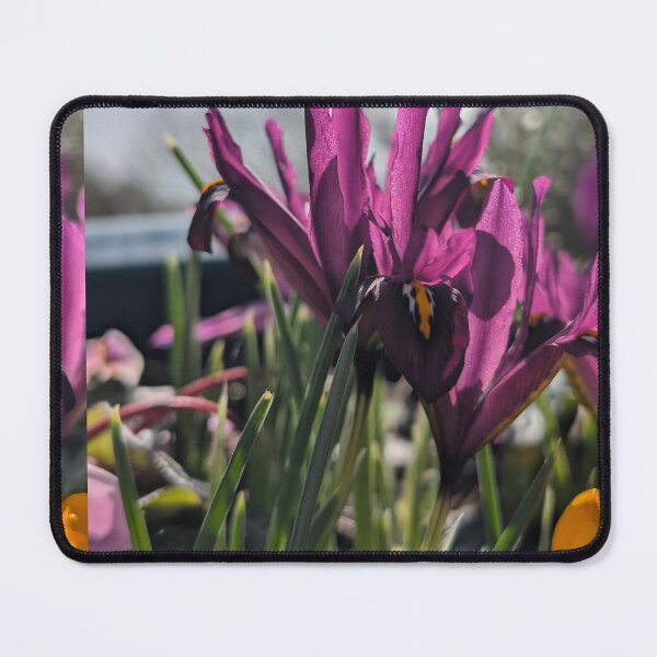 Item preview, Pink field flower wildflowers  photography designed and sold by Coolparrotgirl.