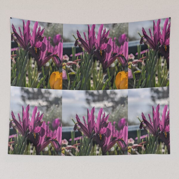 Item preview, Pink field flower wildflowers  photography designed and sold by Coolparrotgirl.