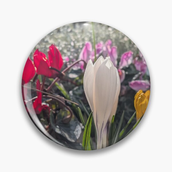 Item preview, Colourful spring flowers crocus, white crocus,  photography designed and sold by Coolparrotgirl.