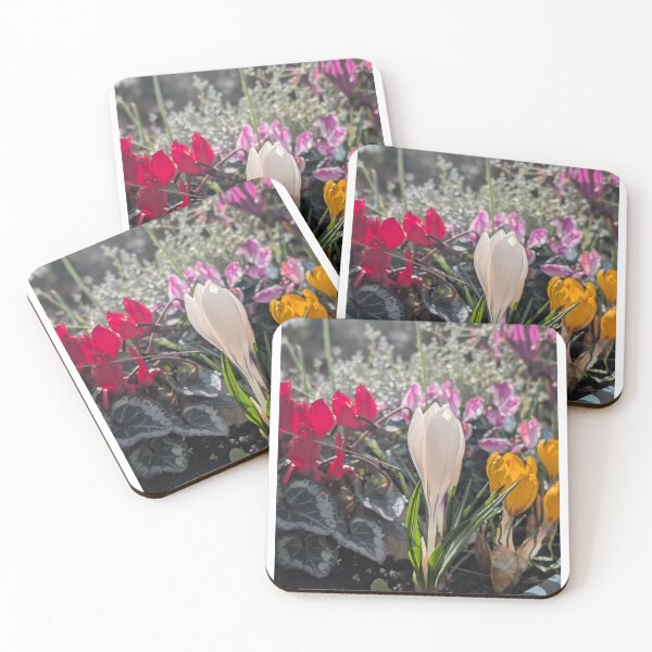 Item preview, Colourful spring flowers crocus, white crocus,  photography designed and sold by Coolparrotgirl.