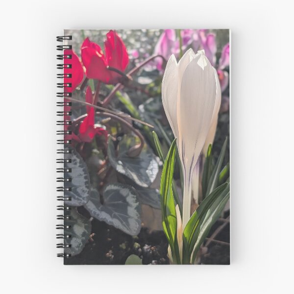 Item preview, Colourful spring flowers crocus, white crocus,  photography designed and sold by Coolparrotgirl.