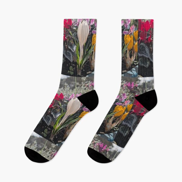Item preview, Colourful spring flowers crocus, white crocus,  photography designed and sold by Coolparrotgirl.