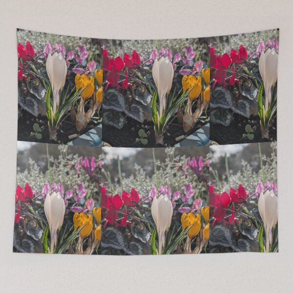 Item preview, Colourful spring flowers crocus, white crocus,  photography designed and sold by Coolparrotgirl.