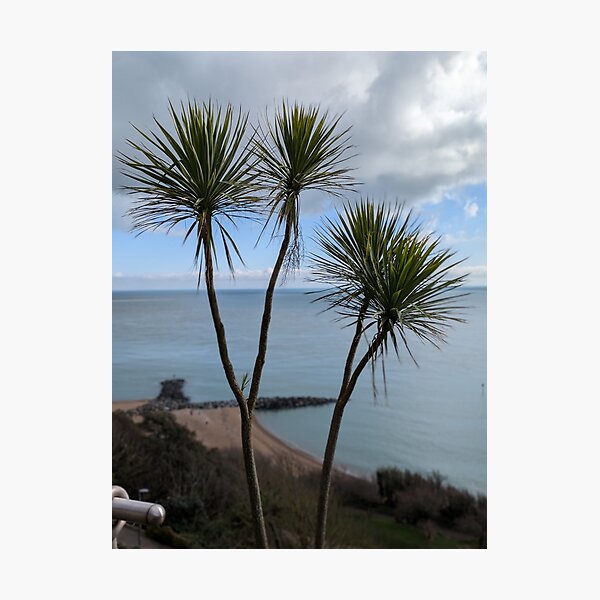 Item preview, Folkestone in England designed and sold by Coolparrotgirl.