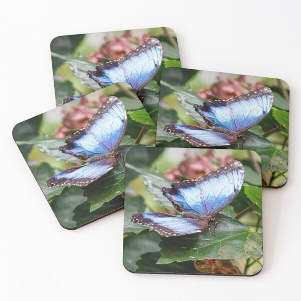 Item preview, Blue Wings designed and sold by Tim Dusenberry.