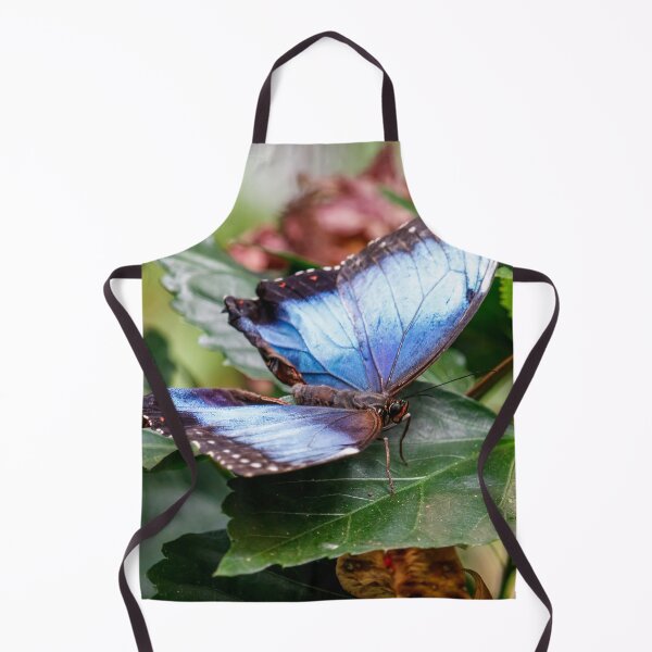 Item preview, Blue Wings designed and sold by Tim Dusenberry.