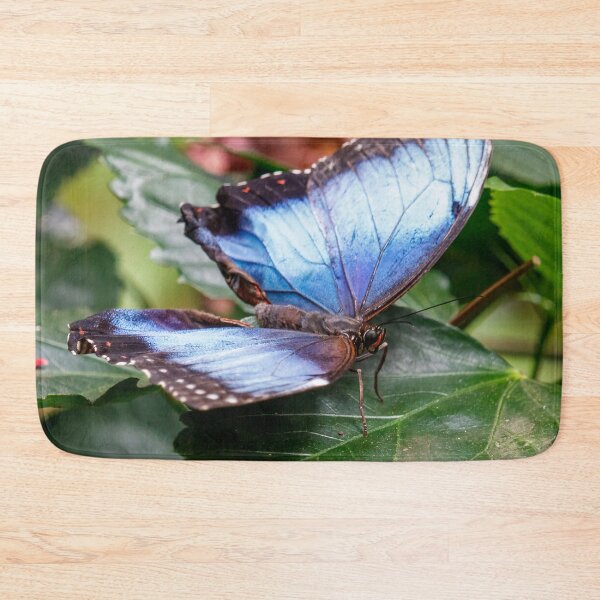 Item preview, Blue Wings designed and sold by Tim Dusenberry.