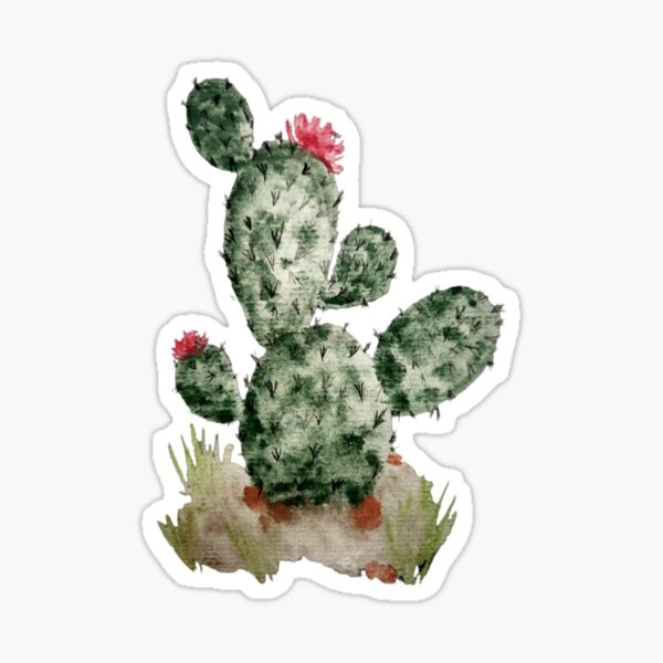 Aperçu de l'œuvre Cactus créée et vendue par MichBlom007.