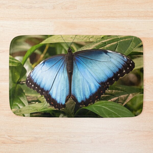 Item preview, Perfect designed and sold by Tim Dusenberry.