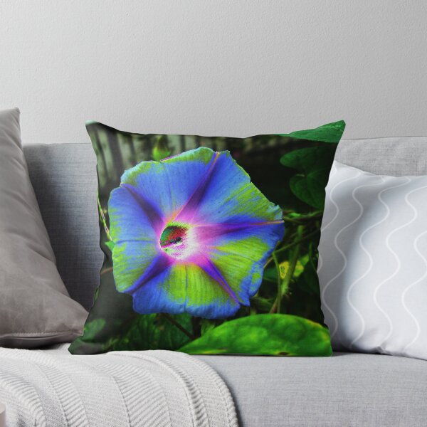 Item preview, Morning Glory designed and sold by Jess-Tru.