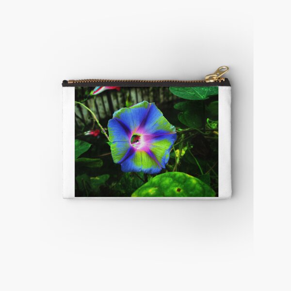 Item preview, Morning Glory designed and sold by Jess-Tru.