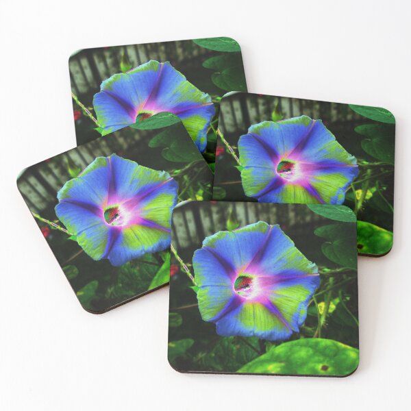 Item preview, Morning Glory designed and sold by Jess-Tru.
