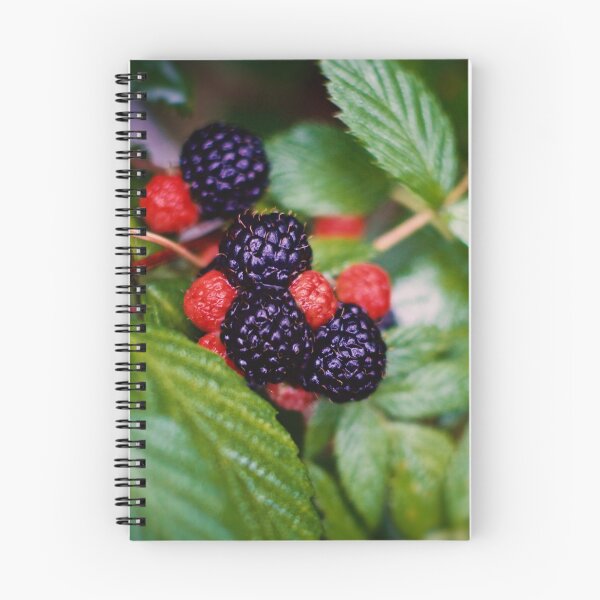 Item preview, BLACK RASPBERRY designed and sold by Anna Ratkevich.
