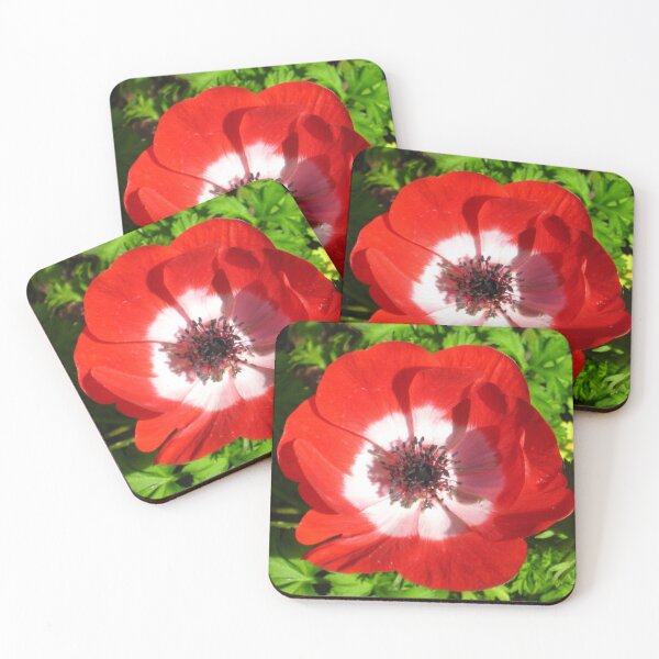 Item preview, Red, White,and Blue Anemone Windflower Showing Anticipation and Passion designed and sold by JoyousArt4u.
