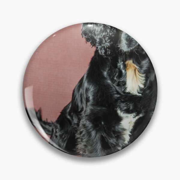 Item preview, Spaniel designed and sold by JEZ22.
