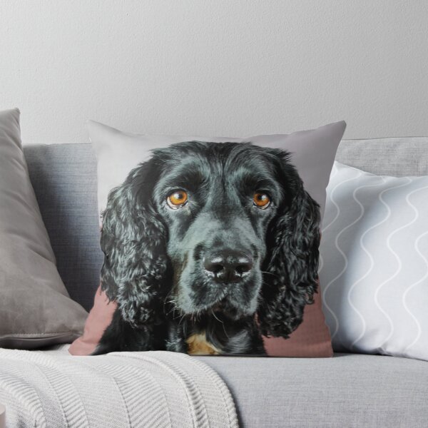 Item preview, Spaniel designed and sold by JEZ22.