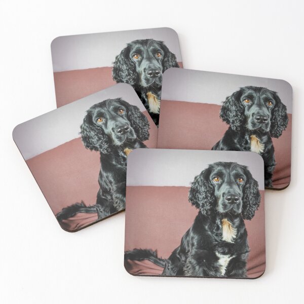 Item preview, Spaniel designed and sold by JEZ22.