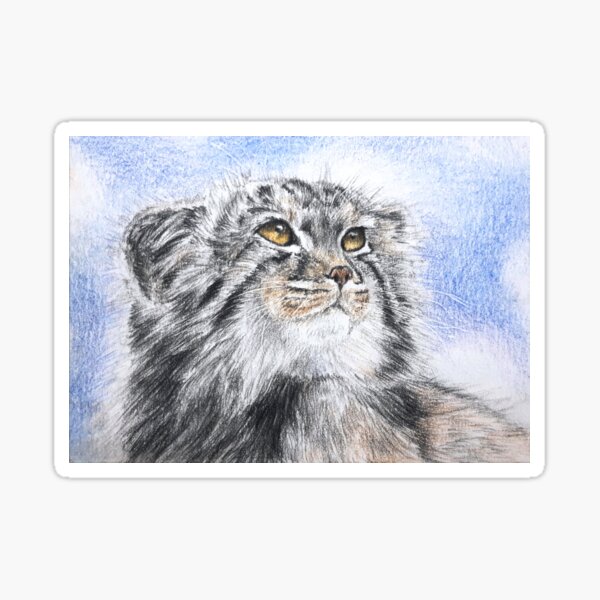 Vista previa del artículo con la obra «El gato de Pallas / Manul», diseñado y vendido por BeckyKidus.