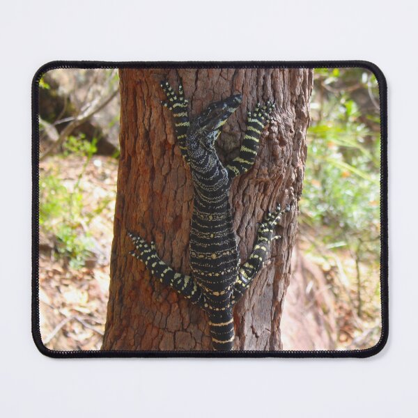 Item preview, The Goanna in the Tree! designed and sold by Mickangelhere.