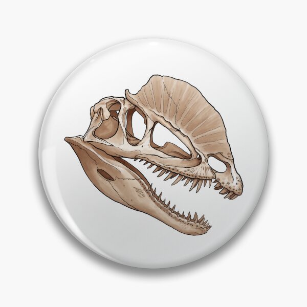 Item preview, Dilophosaurus skull designed and sold by DANLOP-ART.