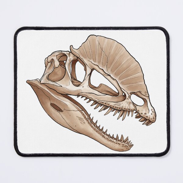 Item preview, Dilophosaurus skull designed and sold by DANLOP-ART.