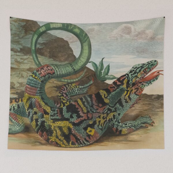 Item preview, Maria Sibylla Merian - Lizard from Metamorphasibus Insectorum Surinamensium designed and sold by Onodera.