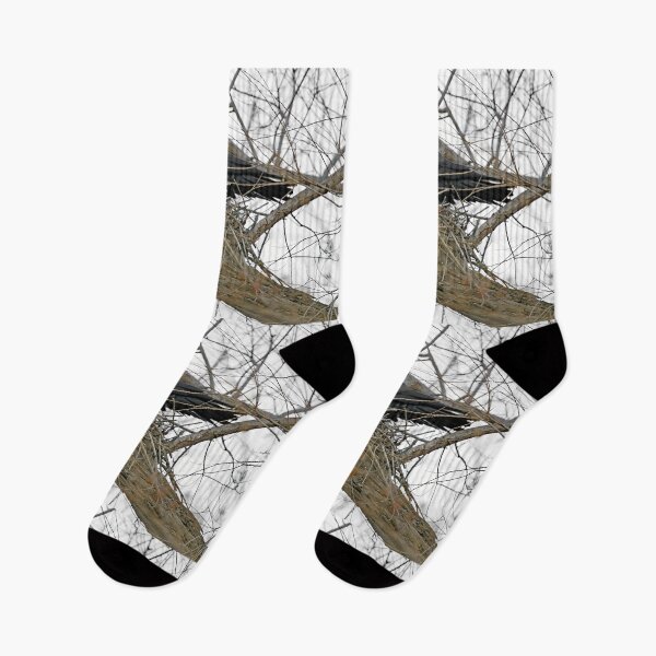 Item preview, Crow Visits Empty Nest designed and sold by CarolM.