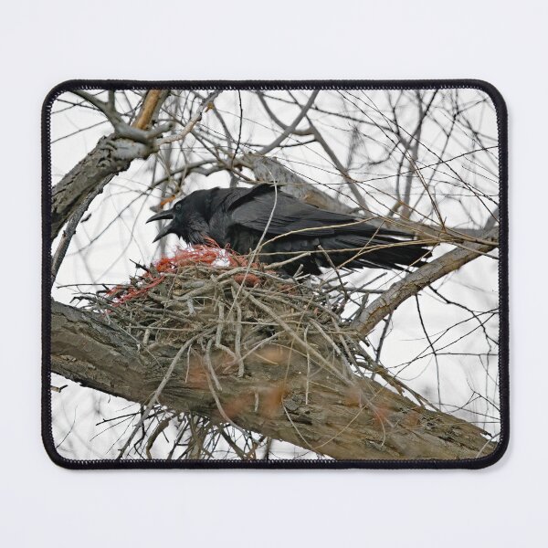 Item preview, Crow Visits Empty Nest designed and sold by CarolM.