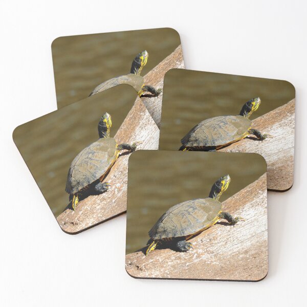 Item preview, Yellow-bellied slider designed and sold by Parks and X.