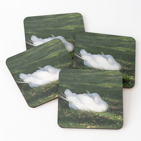 Item preview, I'm Having My Afternoon Nap designed and sold by heatherfriedman.
