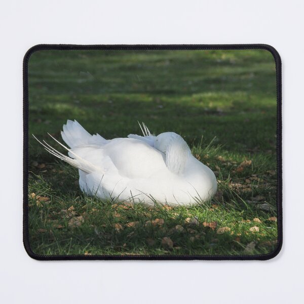 Item preview, I'm Having My Afternoon Nap designed and sold by heatherfriedman.