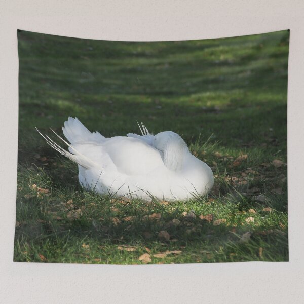 Item preview, I'm Having My Afternoon Nap designed and sold by heatherfriedman.